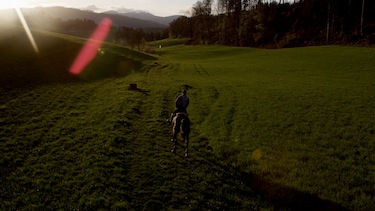 Apoint Film Luftaufnahme