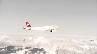 Zweihund Swiss 2012