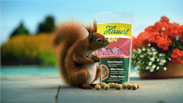 buotiq Hauert Commercial